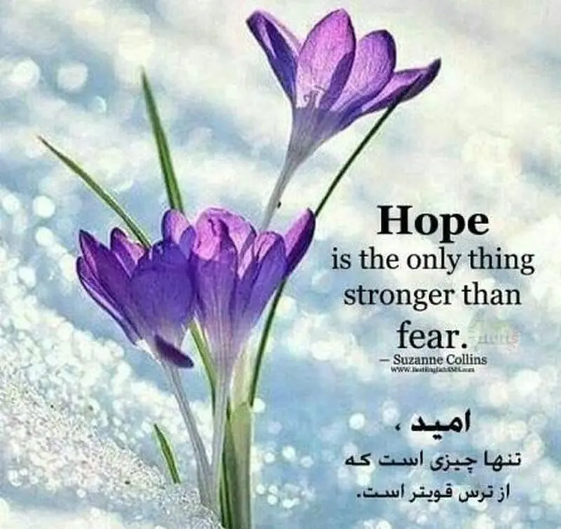 -انگلیسی-مفهومی-1-e1564440286758