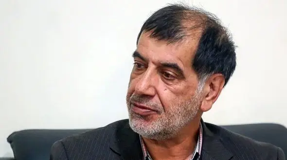 باهنر: فوت مهسا امینی باعث زایمان زودرس شد!