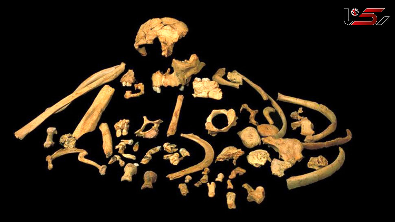 فسیل قدیمی ترین جسد انسان کشف شد+ عکس