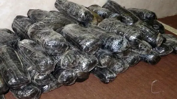  باند بزرگ قاچاق موادمخدر منهدم و بیش از ٣.٥ تُن تریاک کشف شد