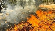 آتش 4 هکتار از مراتع طبیعی مهران را سوزاند