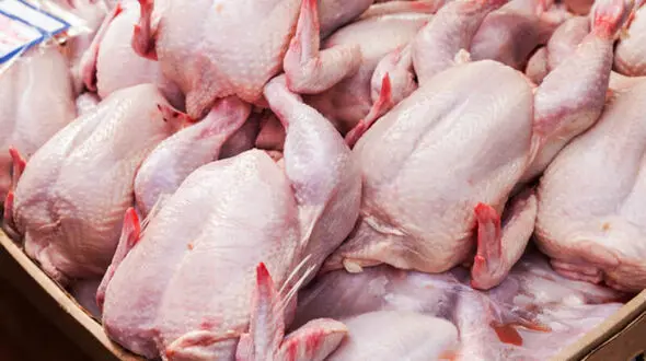 مرغ 30 درصد گران شد + جزئیات