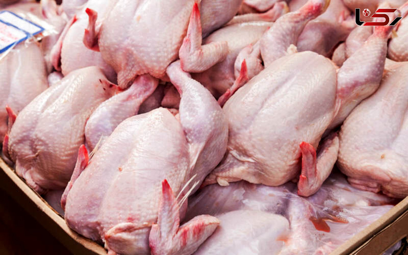 میانگین قیمت هرکیلو گرم مرغ آماده طبخ ۱۹.۱ هزار تومان