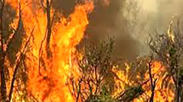 آتش سوزی گسترده مقابل پایانه مرزی مهران + فیلم