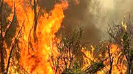 آتش سوزی گسترده مقابل پایانه مرزی مهران + فیلم