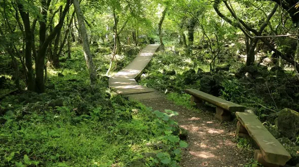 داستانک / مردی که آنجا بیدار شد (1)