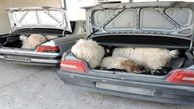 افشای راز باند دزدان حرفه ای در سرقت مسلحانه گوسفندان 