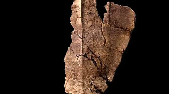 3 فسیل خارپوست به موزه ملی تاریخ طبیعی اهدا شد