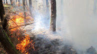 آتش سوزی در جنگل‌های مرزی صومعه سرا و رضوانشهر