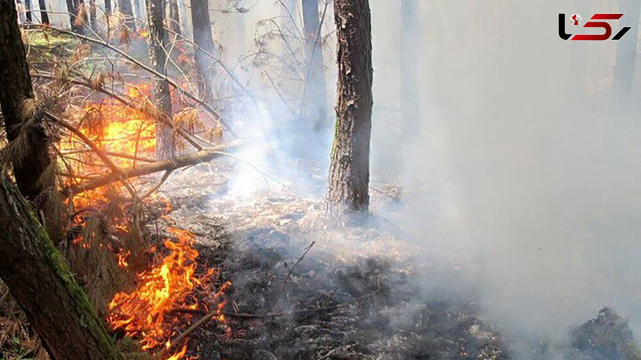 آتش سوزی در جنگل‌های مرزی صومعه سرا و رضوانشهر