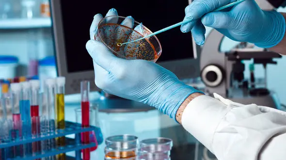 علل اصلی انتقال ویروس هپاتیت A چیست؟