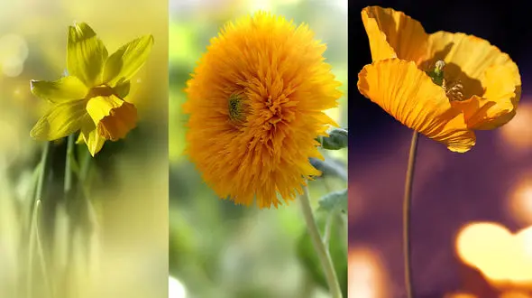 فال ابجد امروز / 4 مهر + فیلم