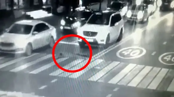 فیلم لحظه له شدن عابرپیاده زیر چرخ های شاسی بلند  