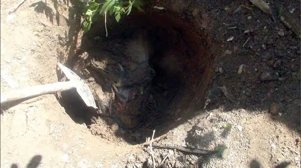 یک فاجعه / عامل قاتل های سریالی مشهد بالاخره دستگیر شد+ عکس های هولناک