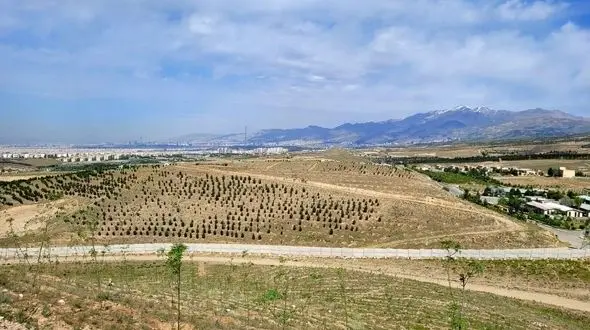 رئیس سازمان منابع طبیعی : قصد داریم 8 اسفند رکورد بزنیم و در گینس ثبت کنیم!
