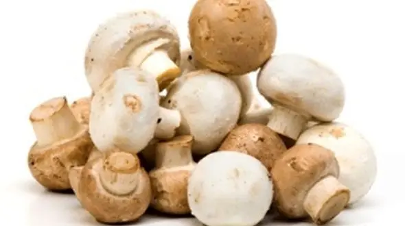 قارچ بخورید تا ناراحتی اعصاب نگیرید 