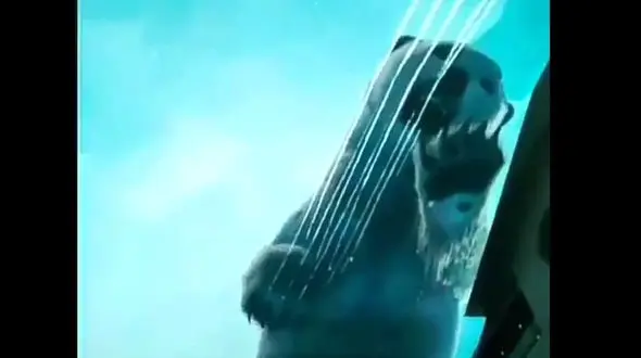 سقف پاساژ کاربران را ترساند + فیلم