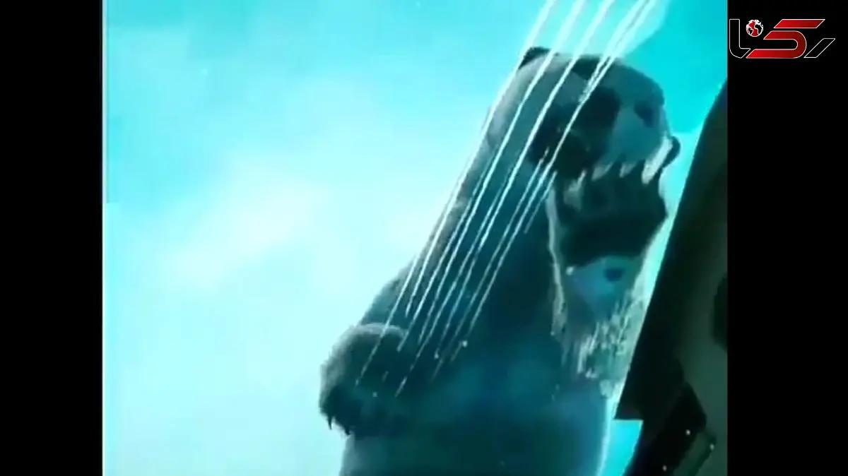 سقف پاساژ کاربران را ترساند + فیلم