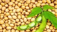 فواید شگفت انگیز پروتئین سویا