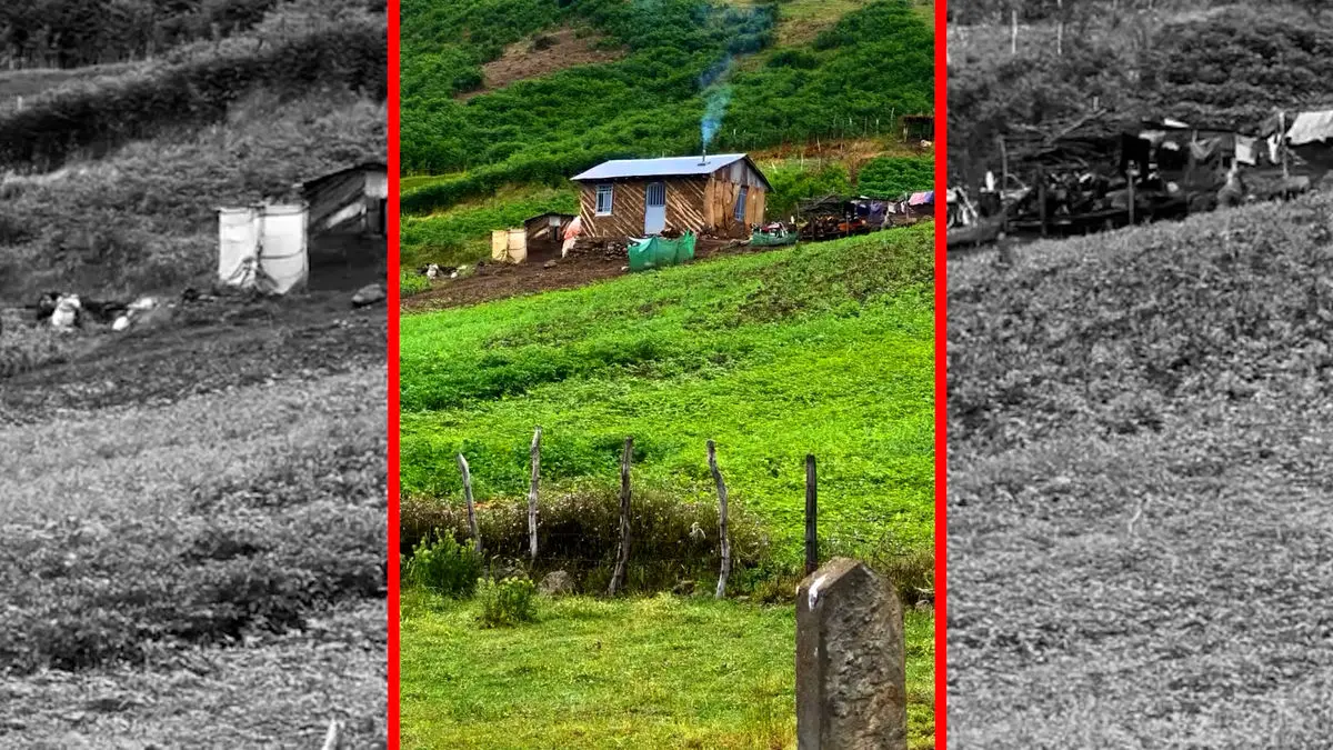 فیلم خانه روستایی در دل کوهستان سرسبز