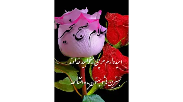 فال ابجد 6 دی ماه + فیلم 