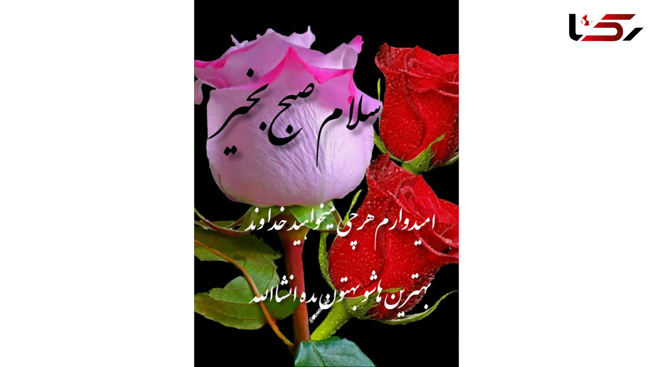 فال ابجد 6 دی ماه + فیلم