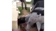 زنده شدن مرد کرونایی بعد از دفن! / فیلم لحظه بیرون آمدن از قبر / اسپانیا
