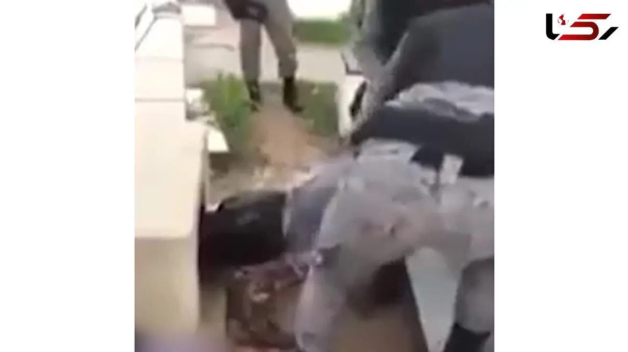 زنده شدن مرد کرونایی بعد از دفن! / فیلم لحظه بیرون آمدن از قبر / اسپانیا