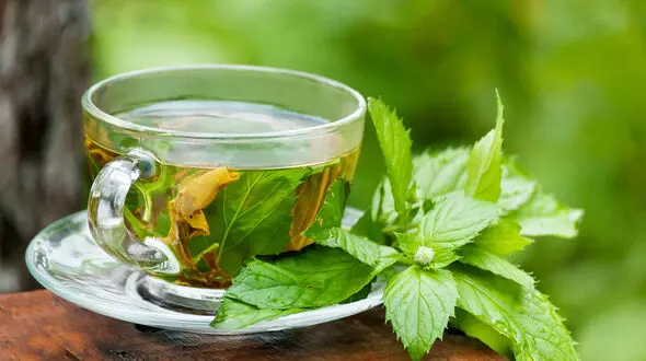 مواد غذایی که مانع تکثیر کروناویروس جدید می‌شود
