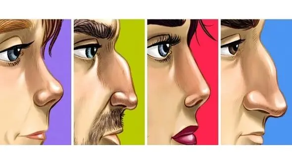تست:  کدام  بینی بیشتر شبیه بینی شماست ؟!  / شخصیت شناسی
