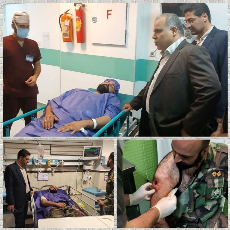 سازمان منابع طبیعی