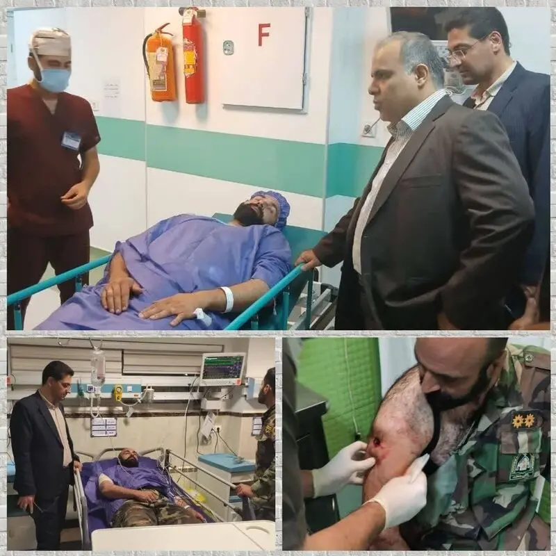 سازمان منابع طبیعی