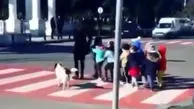 فیلم کمک دیدنی یک سگ به کودکان برای عبور از خیابان