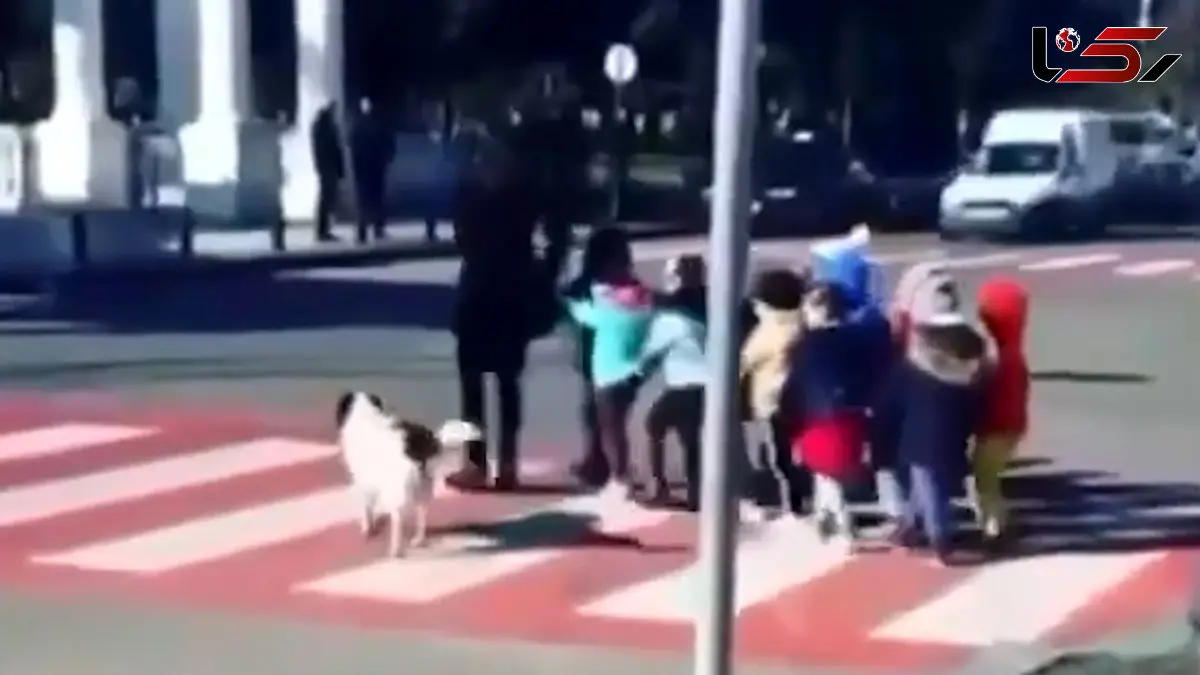 فیلم کمک دیدنی یک سگ به کودکان برای عبور از خیابان