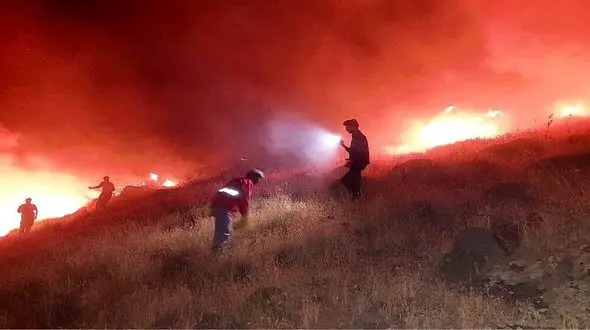 مهار آتش‌سوزی در منطقه جنگلی اهر