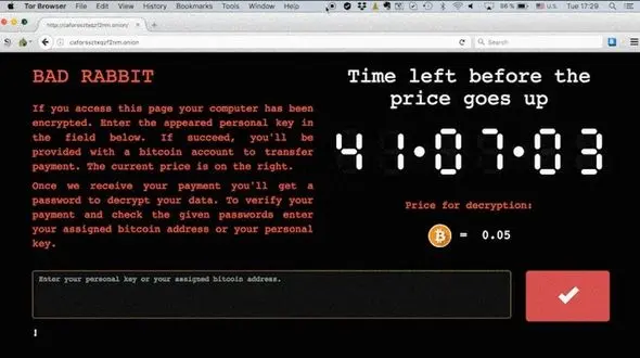 "خرگوش بد" به روسیه حمله کرد !