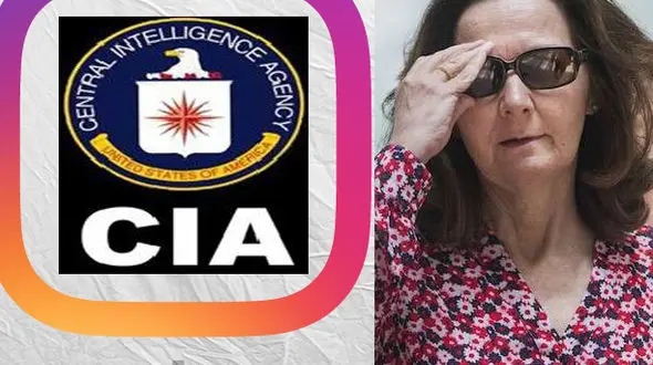 رمزگشایی از مفهوم اولین پست سازمان شیطان /خانم شکنجه‌گر لشکر سایبری خود را آماده عملیات کرد+عکس
