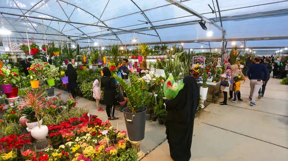 قیمت گل 400 درصد گران شد / تعداد گل فروشی ها کاهش یافت