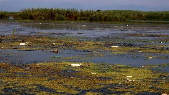 کاهش ۲۲ سانتی تراز آب دریای خزر / تالاب انزلی در مسیر خشک شدن 
