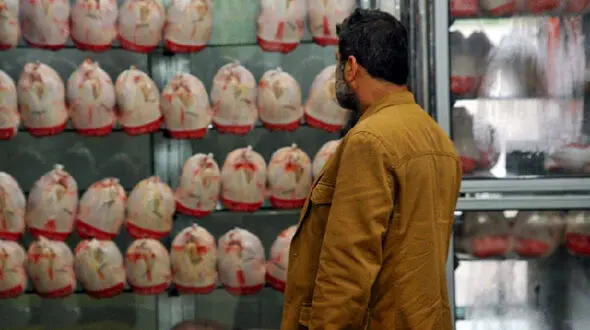 ببینید /  قیمت مرغ کاهشی شد + فیلم