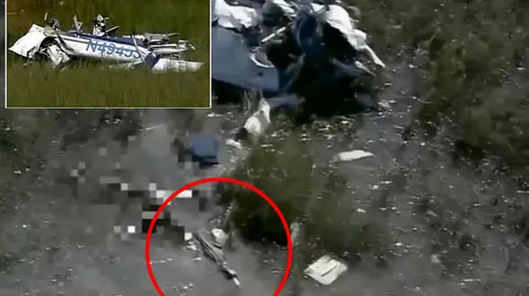 تمساح ها خلبان نگون بخت هواپیمای سقوط کرده را مقابل دوربین خبرنگاران تکه تکه کرده و خوردند + فیلم و عکس