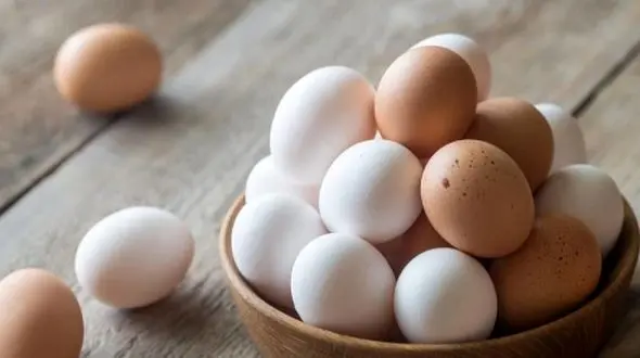 آیا مصرف روزانه تخم‌مرغ خطرناک است یا مفید؟ بررسی علمی + فیلم