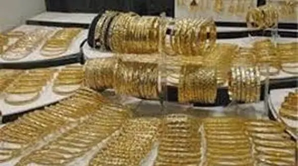 دستگیری سارق حرفه‌ای طلا فروشی ها در دهدشت