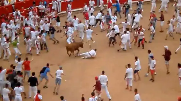 بازی با شاخ و دم گاو وحشی حمله وحشتناک گاو را به دنبال داشت !+فیلم