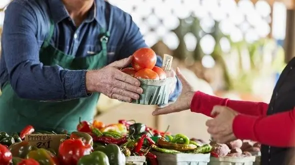 هیچ محصول «ارگانیک» در ایران وجود ندارد، کلاهبرداری است/ انتقال  اثرآلودگی هوا بر حیوانات و گیاهان به انسان ها