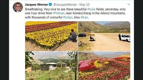 لاله‌های ایران سفیر هلند را شگفت زده کرد + عکس