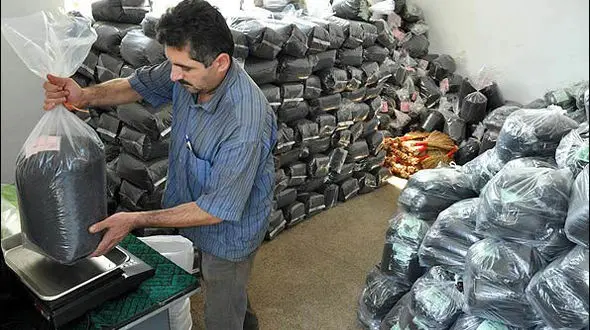 واردات چای 259 میلیون دلاری شد