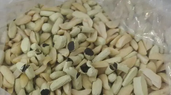  کشف بیش از یک کیلوگرم تریاک از داخل بادام زمینی