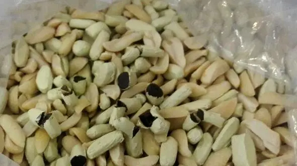  کشف بیش از یک کیلوگرم تریاک از داخل بادام زمینی