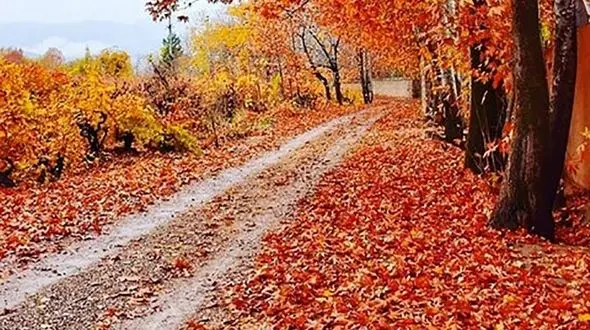 معرفی بهترین مکان ها در تهران برای پیاده روی پاییزه